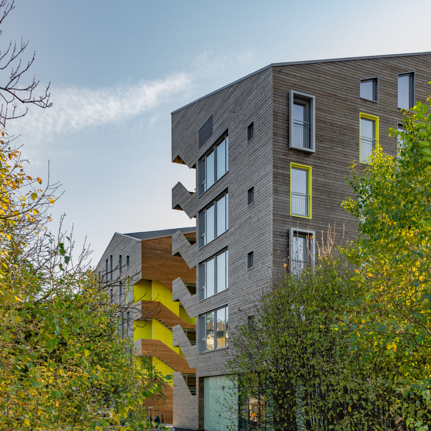 Carlos-Rollan-Griff-Arkitektur-Bjølstad-Studentboliger-Fredrikstad-Sixfootfour-Studio-Interior-2021-10