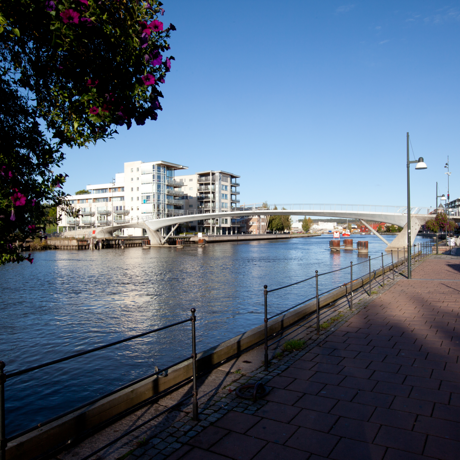 IMG_9950-1-pxrrhmi0h221uq5hk9d9sriogs80hza9ezw5oerzbs