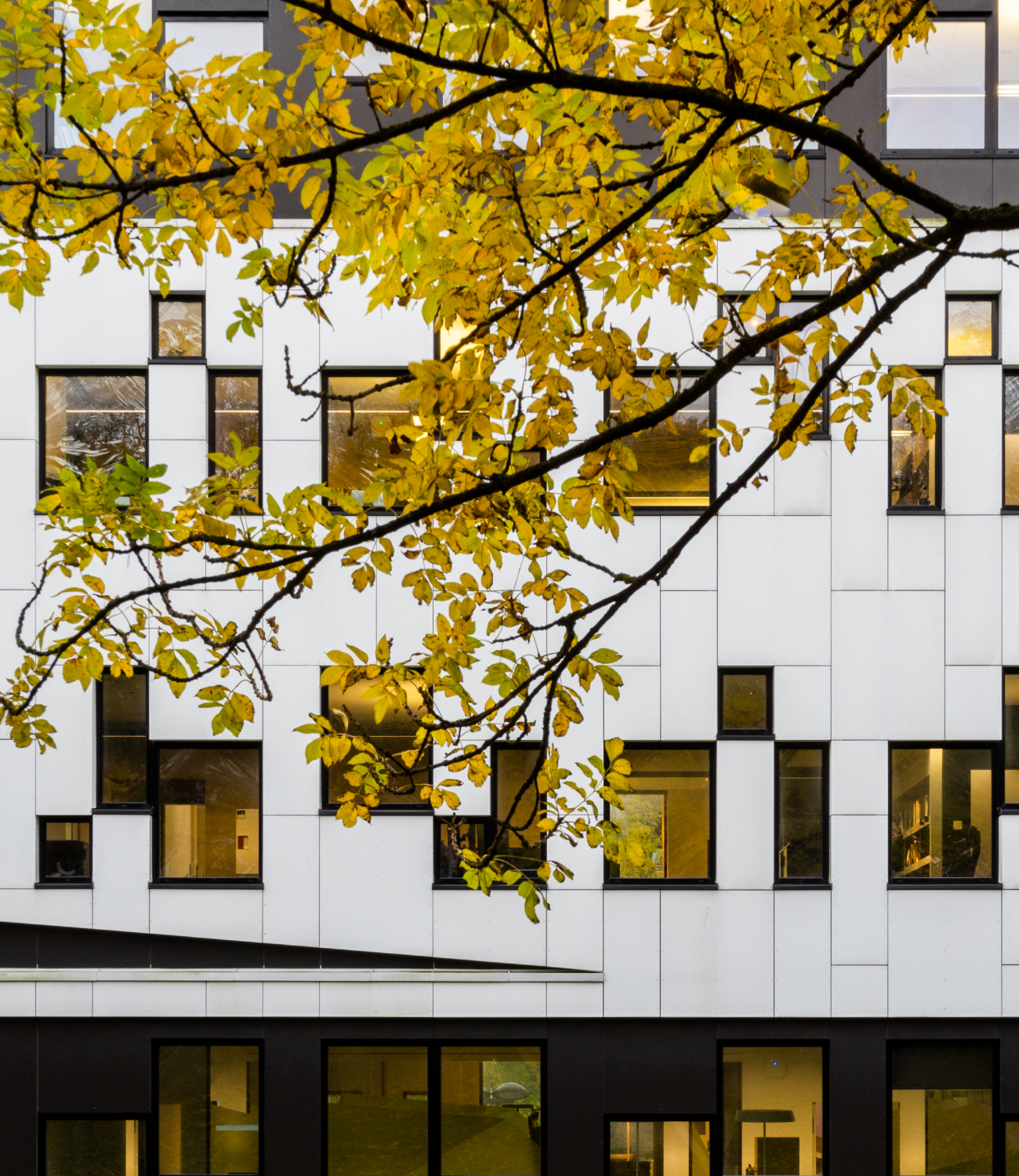 Sixfootfour-Studio-Griff-Arkitektur-Vaerstetorvet-Fredrikstad-Interior-2020